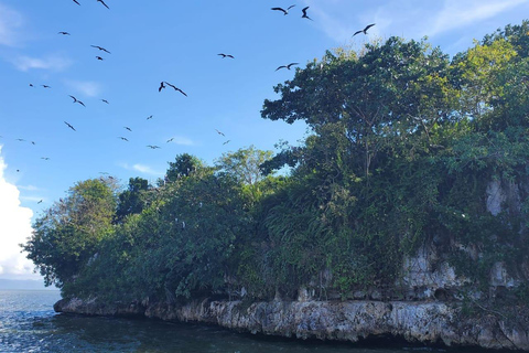 Puerto Plata: Samana, Bacardi Island, and Los Haitises Tour