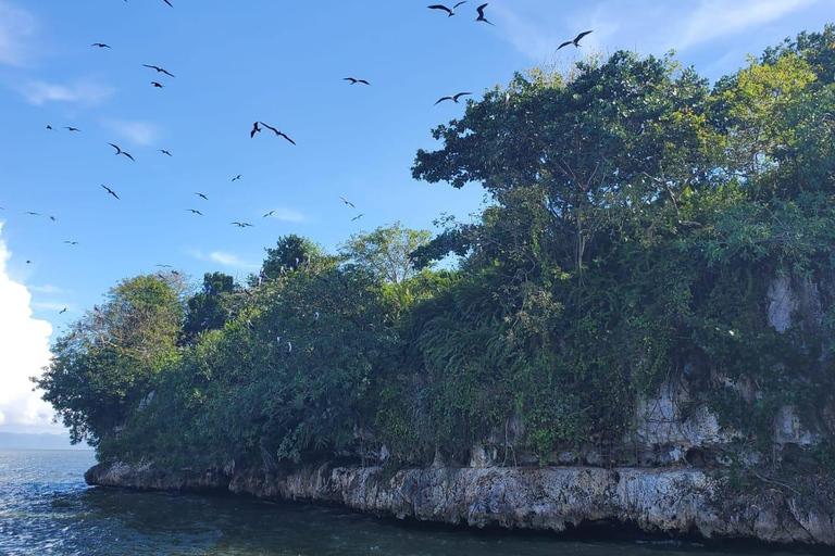 Puerto Plata: Samana, Bacardi Island, and Los Haitises Tour