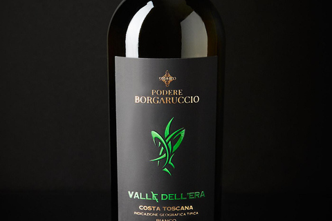 Peccioli: Wine tasting experience