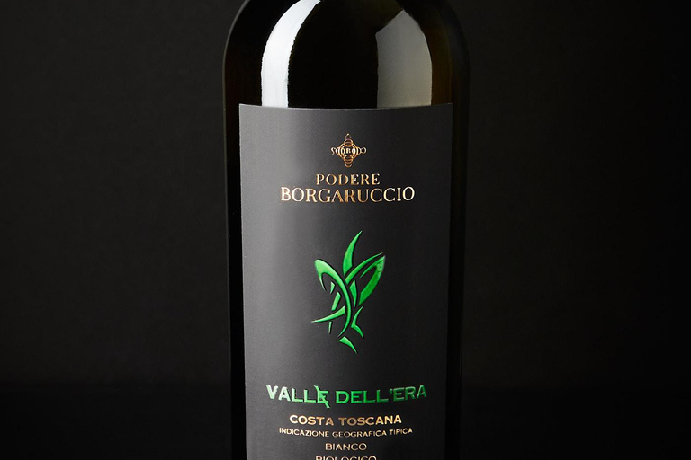 Peccioli: Wine tasting experience