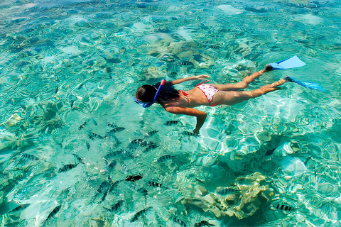 Punta Cana: Horseback Riding, Snorkeling, & Sunset Cruise