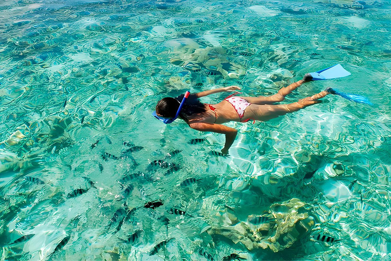 Punta Cana: Horseback Riding, Snorkeling, & Sunset Cruise