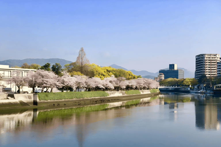 Hiroshima: Dark History Sites Tour with Private Car Option Guided Walking Tour with Museum Tickets