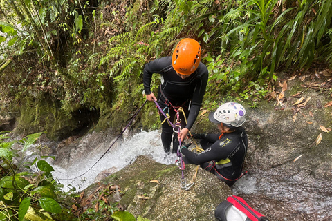 ميديلين: جولة نصف يوم للنزول إلى الشلالات الرائعة.