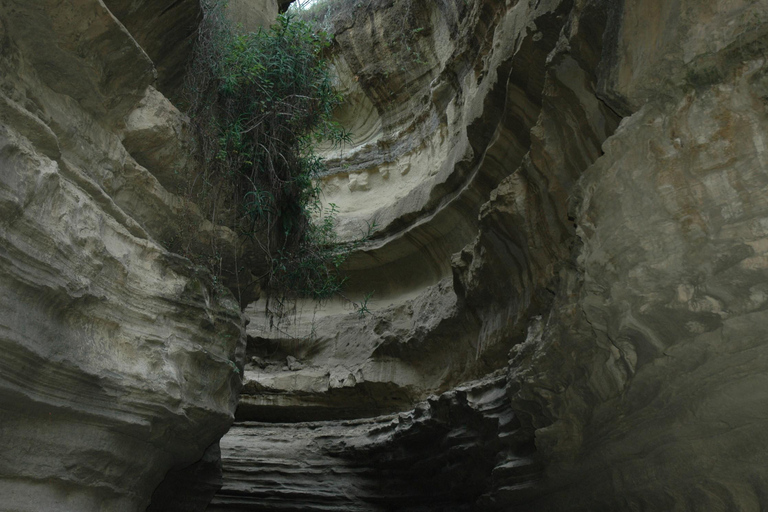 FROM NAIROBI:HELL'S GATE AND LAKE NAIVASHA DAY TRIP.