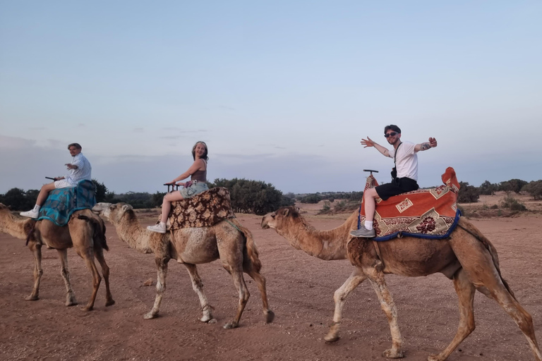 Agadir: Sunset Quad Bike Safari with Camel Ride & Tea