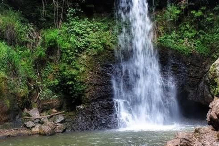 Nairobi: 3-dagars frihetskampstur med te-landskapNairobi: 3-dagars frihetskampstur med Tea Country