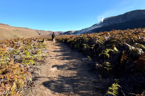 Isabela Island Hiking Tour to Sulfur Fumaroles | Half Day