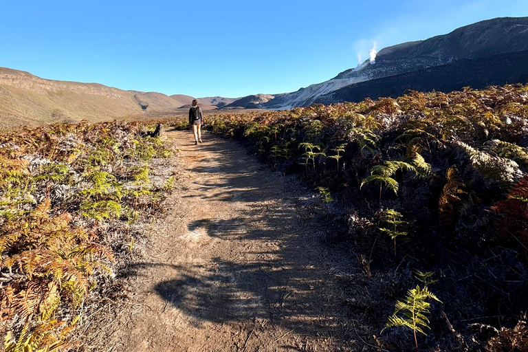 Isabela Island Hiking Tour to Sulfur Fumaroles | Half Day
