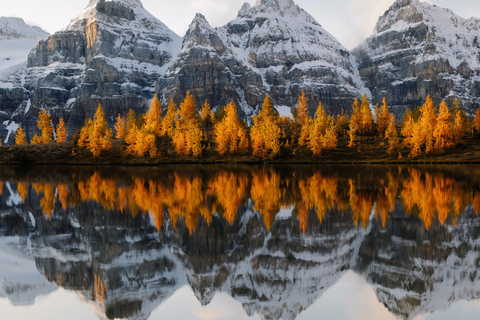 Lake Louise, Emerald Lake & Johnston Canyon Fall Adventure