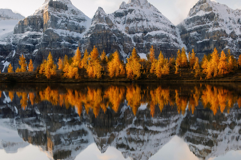 Lake Louise, Emerald Lake & Johnston Canyon Fall Adventure