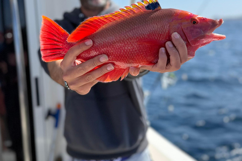 Corralejo: Atlantic Sport Fishing Charter Corralejo: Shared Deep Sea Fishing Charter on the Atlantic