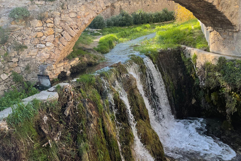 Visite privée de Saint Guilhem et pont du diable