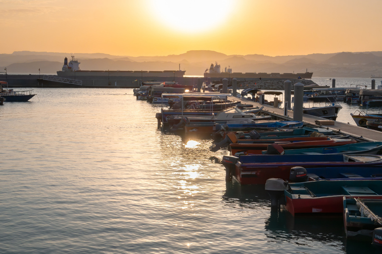 Aqaba: City tour particular de carro por 2 horas