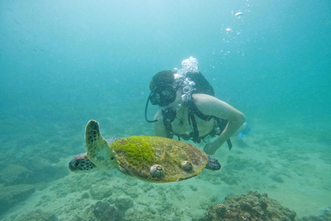 Da Abu Dhabi: Immersioni subacquee e snorkeling con barbecue, trasferimento