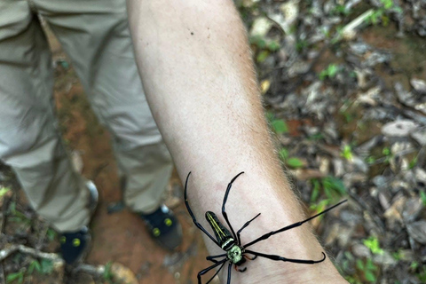 Chiang Mai: 3Days 2Night Trek in Doi Inthanon Area