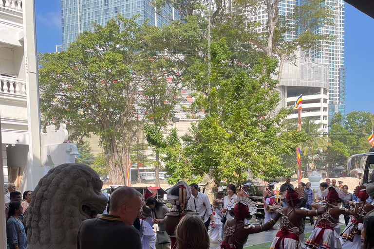 Pinnawala and Kandy Day Tour from Colombo or Negombo Pinna Walla and candy one day tour