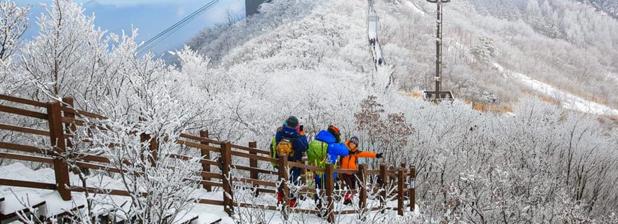 Busan : visite découverte avec neige et site UNESCO