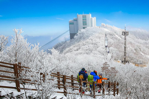 Busan: Discovery Tour With Snow &amp; UNESCO Spot