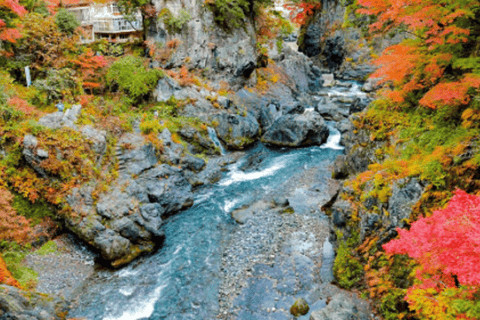Tokyo: Okutama Day Trip with Hatonosu Gorge