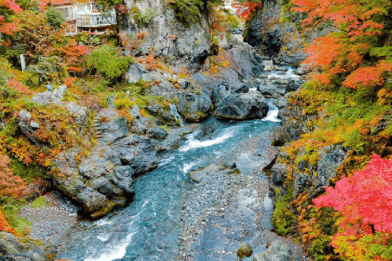 Tokyo: Okutama Day Trip with Hatonosu Gorge