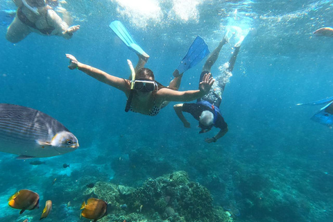 BFT Nusa Penida: Snorkeling to Manta Point &amp; Manta BayShare snorkeling group up 100 Pax