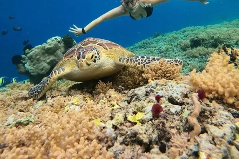 Gili Meno: Private Snorkeling 3 & 4 Spot with Gopro Camera
