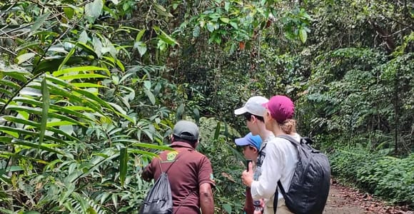 From Colombo/Kalutara: Full-Day Sinharaja Guided Eco Trek