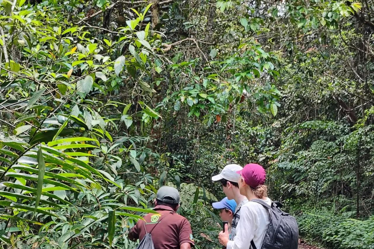 From Colombo/Kalutara: Full-Day Sinharaja Guided Eco Trek