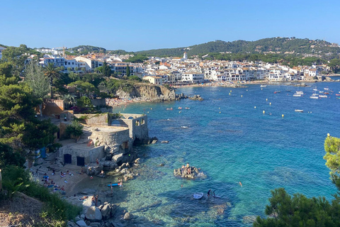 Barcelona: Private Trip, Girona, Medieval Town, Coast & Wine Private Day Trip
