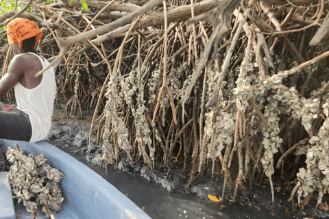 Sine Saloum: 2-Day Delta Boat Tour with Camping Sine Saloum: Delta discovery by boat with bivouac