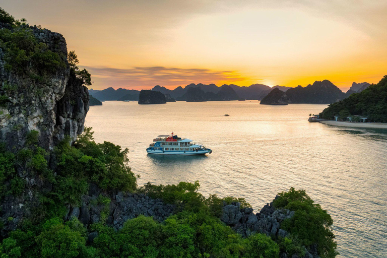 Vanuit Hanoi: Transfer van of naar Halong Dagelijkse Limousine BusVan Halong naar Hanoi