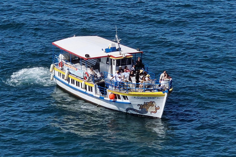 Benagil Cave Tour with Swim Stop, free Drink & Sunset Option Benagil Caves & Coast Boat Tour with Swim Stop and Drink