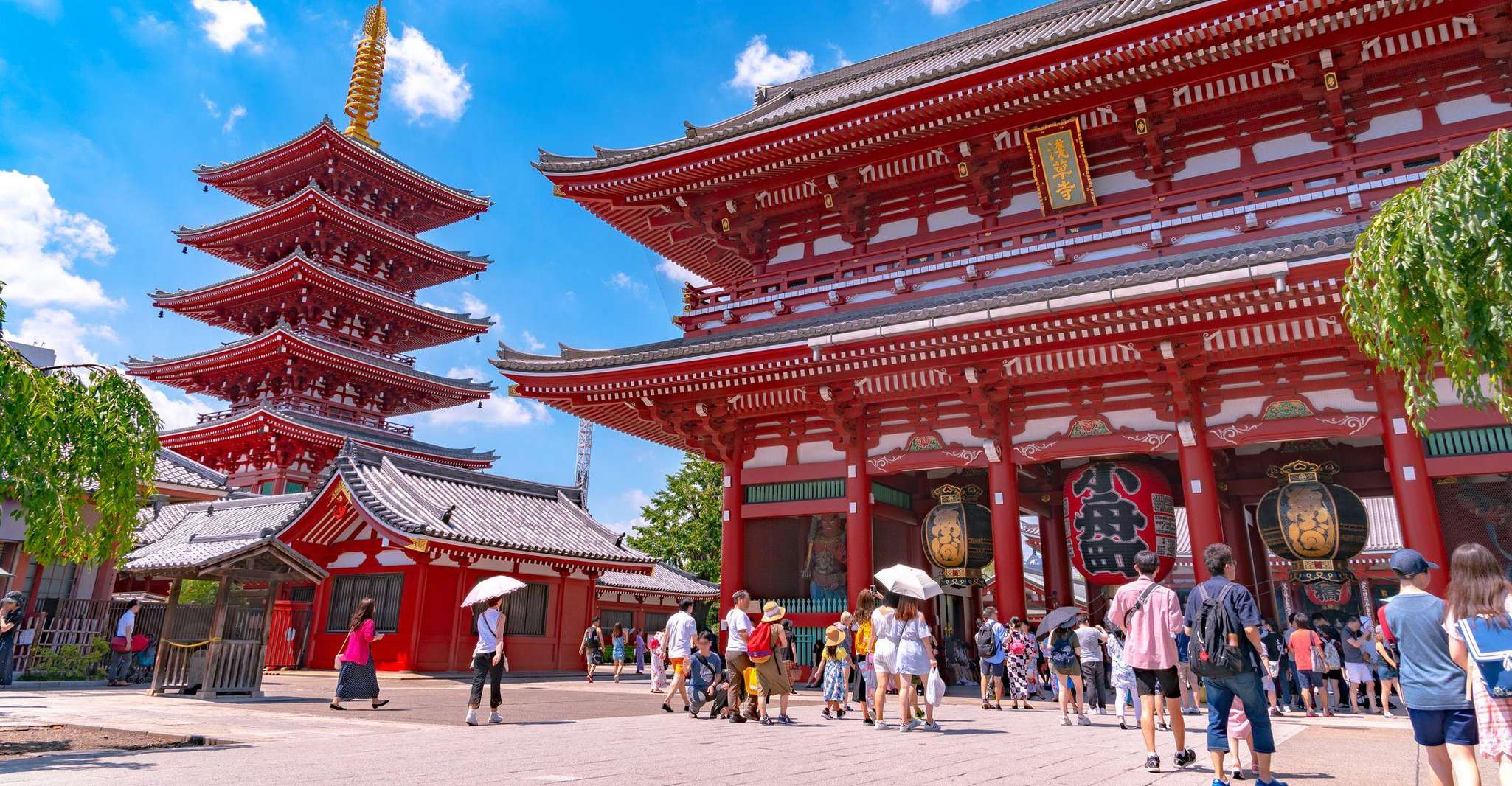 Tokyo: Tokyo Private Day Tour With Guide