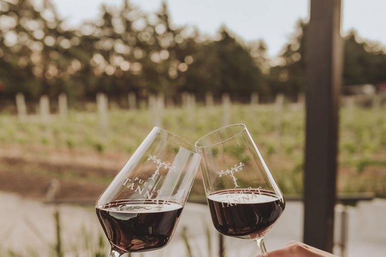 From Colonia: Pueblo Tannat Winery Experience Wine & Cheese Tasting