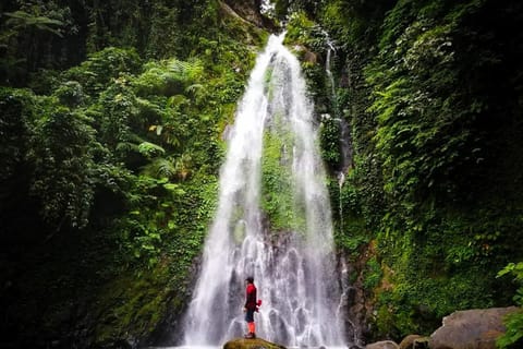 Biliran: 5 days 4 nights with hotel, tour and island hopping - Image 2