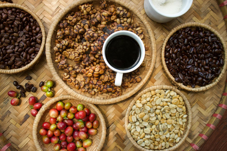 Banyuwangi: Ijen Volcano Trek & Coffee Plantation Tour