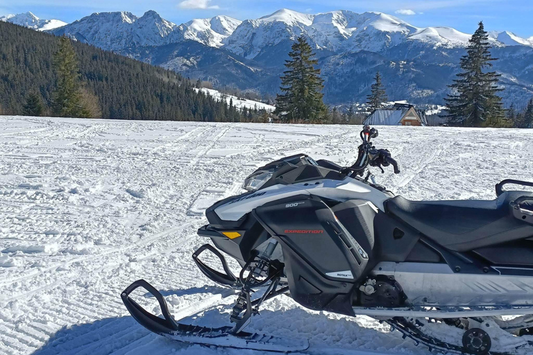 Zakopane: Snowmobile, Quad, or Buggy Tatra Mountains Tour