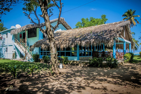 Private: Rural & Urban Dominican Life Tour: Flavors, Fields