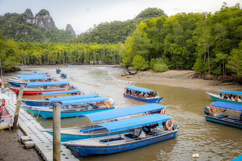 Langkawi:6 Hours Mangrove Night Safari with Pick Up & Dinner