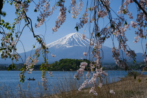 Tokyo: Mt. Fuji Customizable & Private Tour with chauffeur Minivan