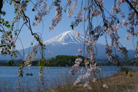 Tokyo : excursion privée personnalisable au mont Fuji avec chauffeur