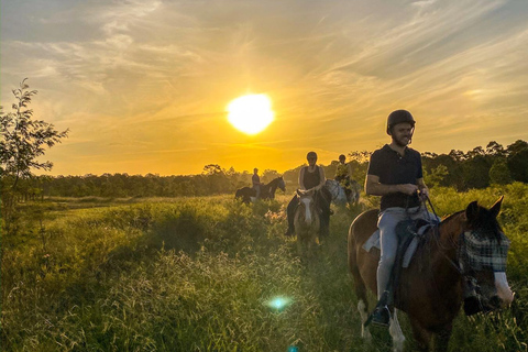Hunter Valley: Sunset Horse Riding Tour 90min