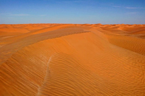 Full Day From Djerba: Ksar Ghilane Oasis & Star Wars Site by JEEP Day Trip from Djerba: Ksar Ghilane Oasis & Star Wars Site by JEEP