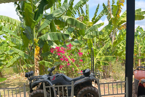 Hoi An: Half-Day Off-Road ATV Quad Bike with BBQ Meal