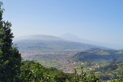 Monti Anaga di Tenerife: escursione circolare nella foresta di alloro