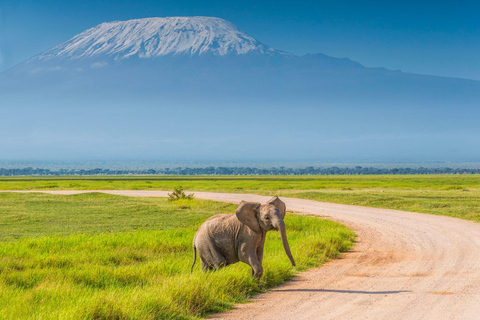 Tour de 3 dias e 2 noturnos pelo Parque Nacional Amboseli