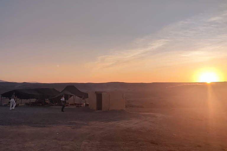 Marrakech: Giro nel deserto di Agafay in quad e cammello con cena spettacolo