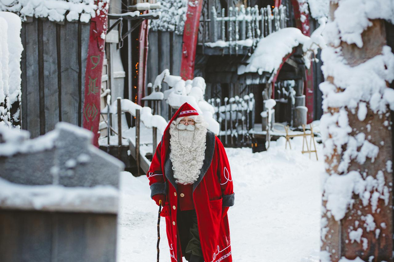 Levi：Arcandia，精灵法庭/日光和公园/黑暗精灵法庭：3 小时体验和公园之旅