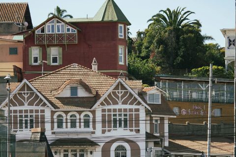 Valparaiso and Viña del Mar: Private Tour from Santiago